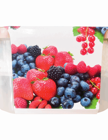 600ml Damp Trap Dehumidifier